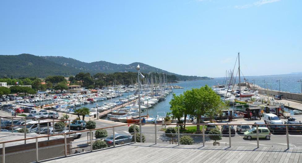 Appartement Studio 4 personnes avec piscine, tennis à Hyères Extérieur photo